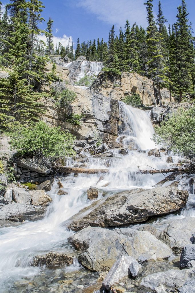 The Importance of Turning Off Your Water Before Going on Vacation